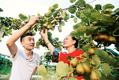 图为近日,该县金坪民族乡新民民族村大学生村官胡天彦(左