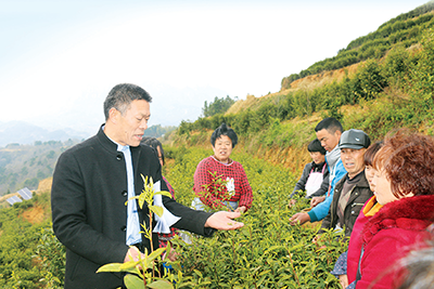 桃岭乡四季春茶叶合作社党支部书记陈先志(左一,为贫困户讲解茶叶